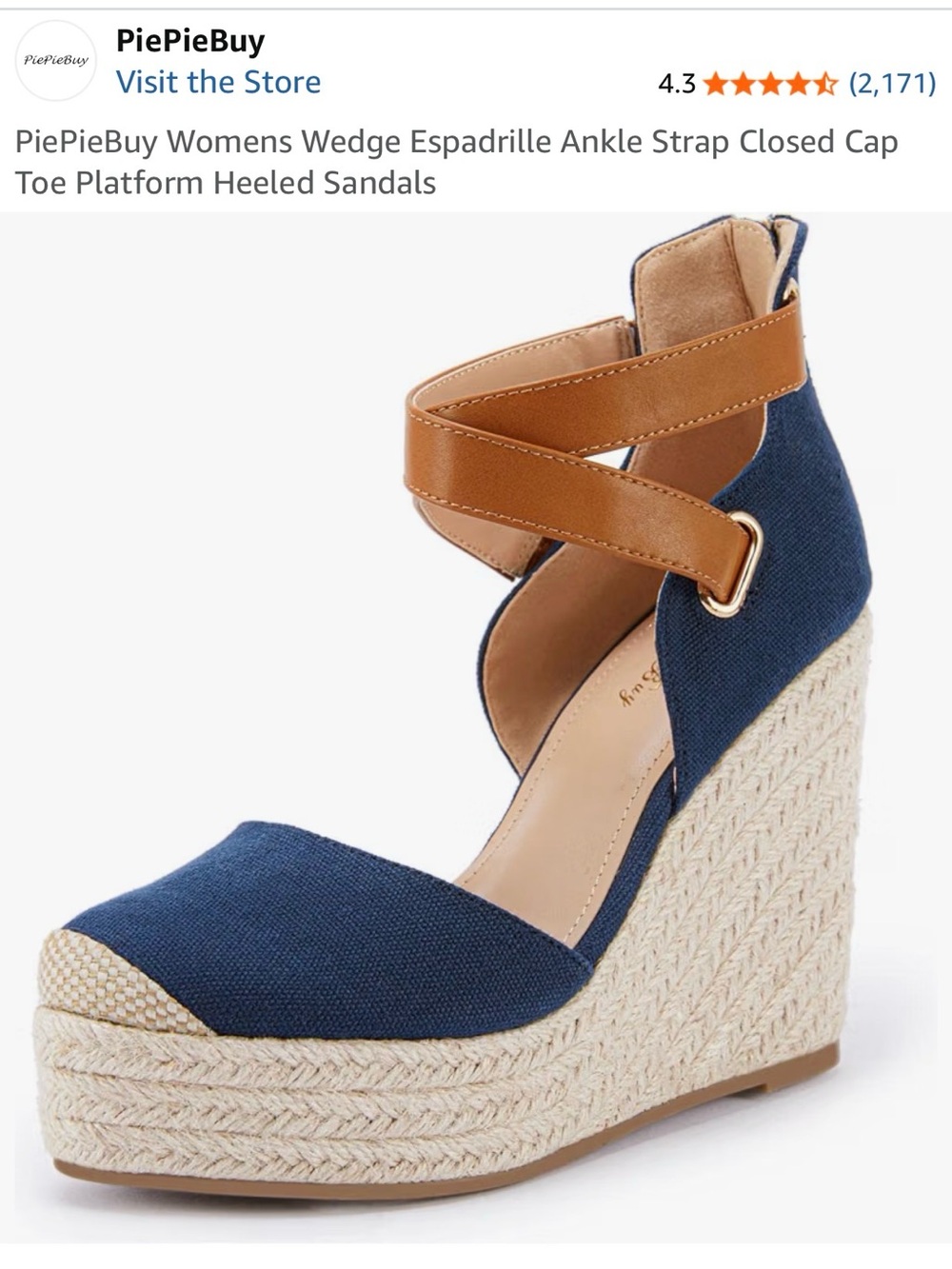 Blue Espadrille Wedge Sandals